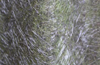 Southill fibreglass roof work